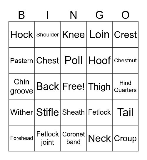 Pony Parts Bingo Card