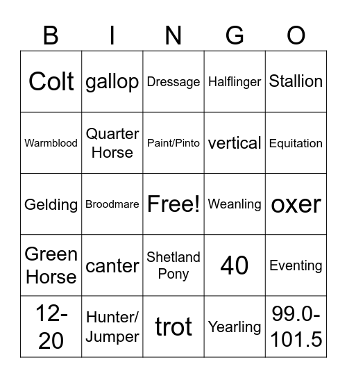 Horse Lingo Bingo Card
