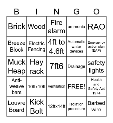 Horse Environment  Bingo Card