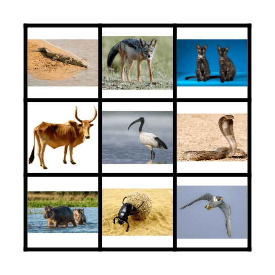 Ancient Egypt Animals Bingo Card