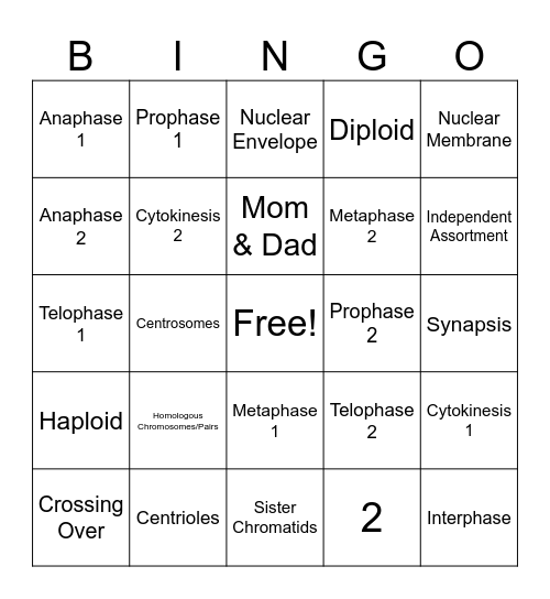 Meiosis 1 & 2 Bingo Card