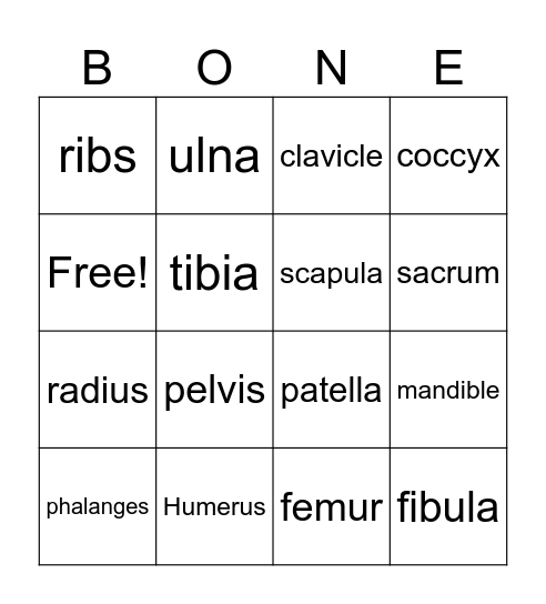 Bone Bingo Card