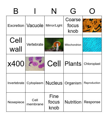 Living things, the cell and the microscope Bingo Card