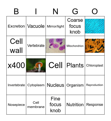 living things, the cell and the microscope Bingo Card