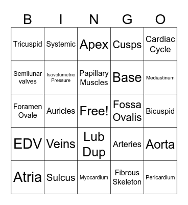 Ch. 19 "The Heart" Bingo Card