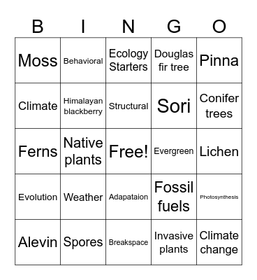 Review Bingo Card