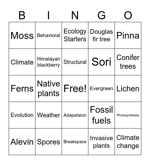 Review Bingo Card