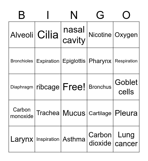 Respiratory System SBI3C Bingo Card