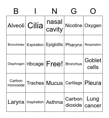 Respiratory System SBI3C Bingo Card