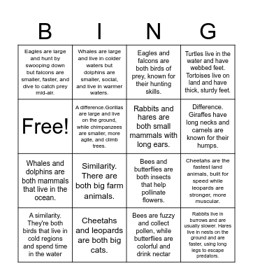 Compare and Contrast Bingo Card