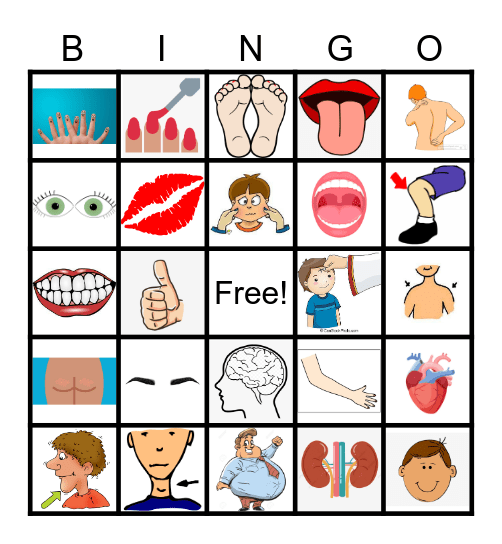 Body Parts Bingo Card