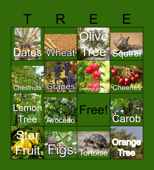 Tu B'Shevat Bingo Card