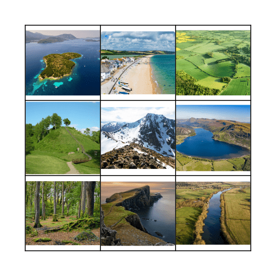 Physical Feature Bingo Card