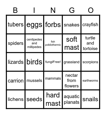 Wildlife Definitions Bingo Card