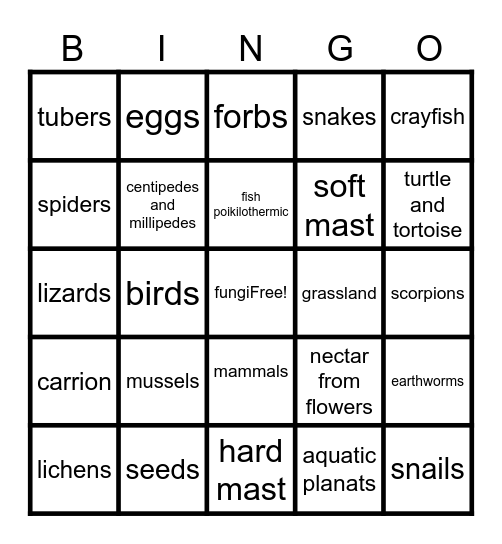 Wildlife Definitions Bingo Card