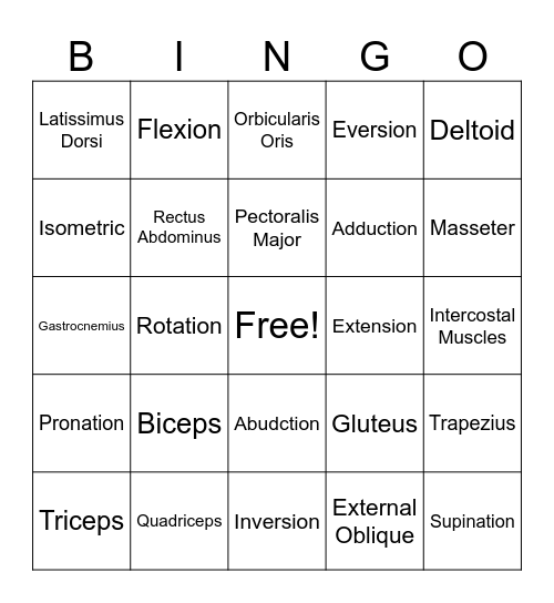 The Muscular System Bingo Card