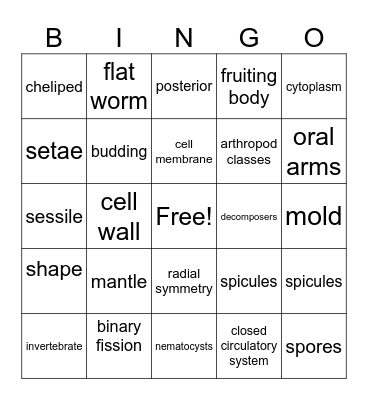 Exam Review Bingo Card