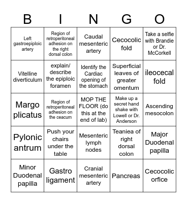 Equine GI Bingo Card