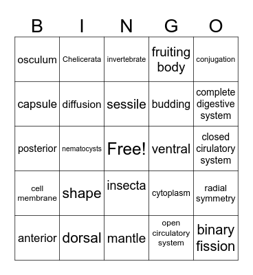 exam bing0 Bingo Card