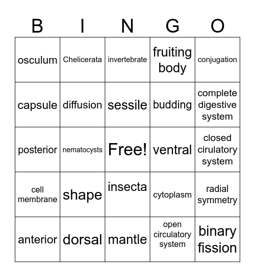 exam bing0 Bingo Card