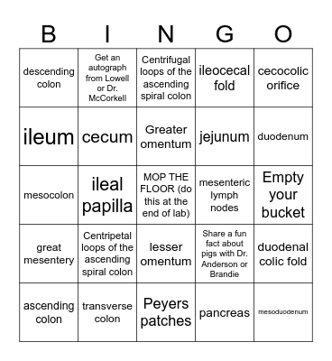 Porcine GI Bingo Card