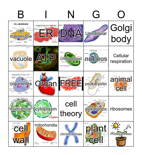 CELL BINGO Card