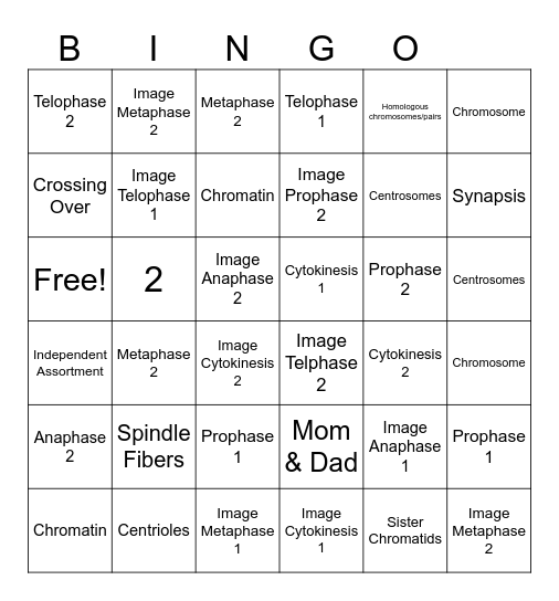 Meiosis 1 & 2 Bingo Card