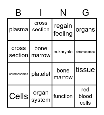 CELLS Bingo Card
