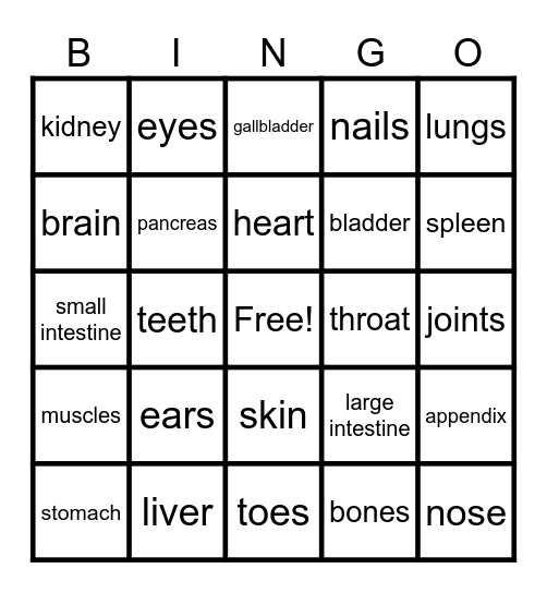 Body Parts BINGO Card