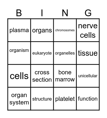 cells Bingo Card
