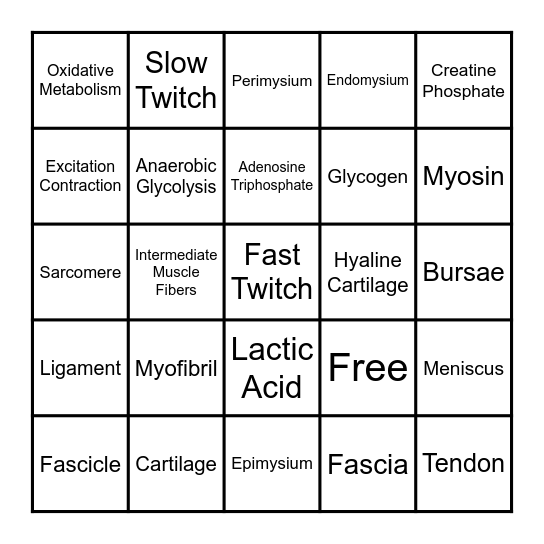 Muscle System Vocabulary- Anatomy and Energy Production Bingo Card