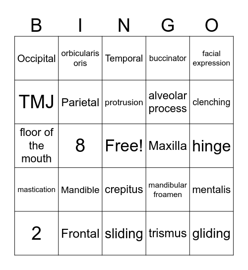 Head and Neck Anatomy Bingo Card