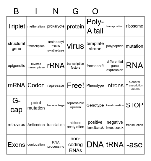 Unit 6: Gene Expression Bingo Card