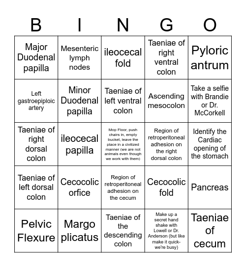 Equine GI Bingo Card