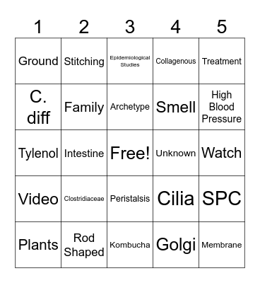C. Diff Slide Bingo Card