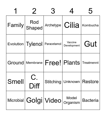 C. Diff Slide Bingo Card