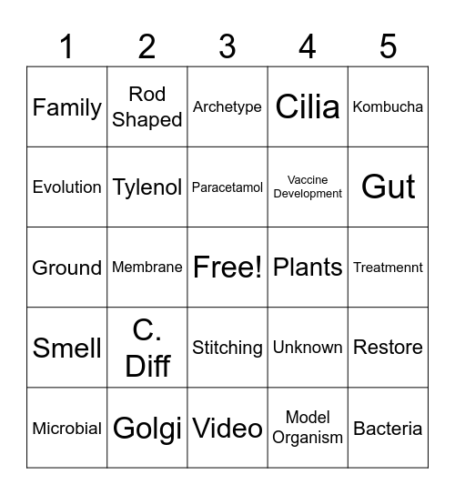 C. Diff Slide Bingo Card