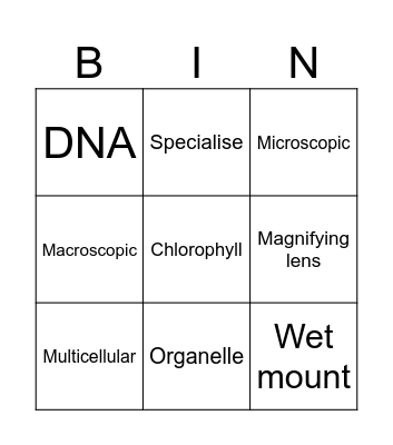 Cells: gr9 Bingo Card