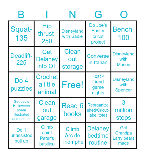 Liz's 2025 Bingo Card Bingo Card