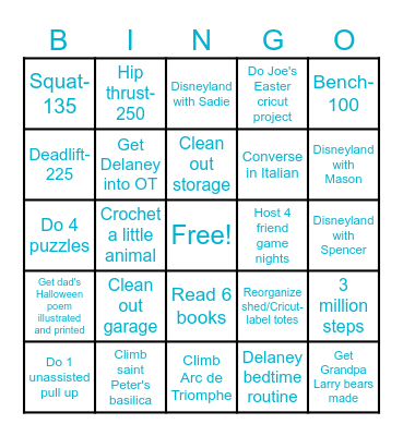Liz's 2025 Bingo Card Bingo Card