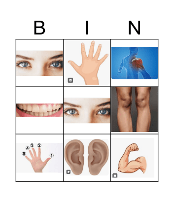 body parts Bingo Card