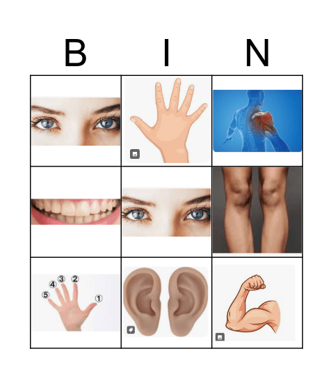 body parts Bingo Card