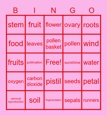 Flower Bingo Card
