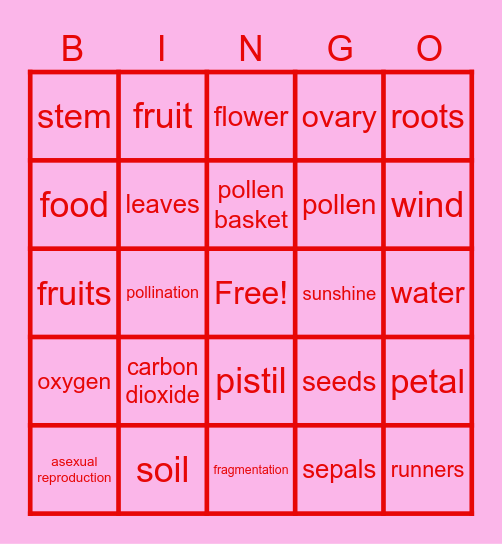 Flower Bingo Card