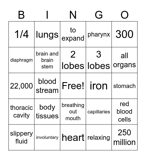 respiratory system bingo Card