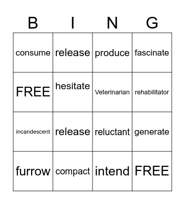 Bright Light Bingo Card