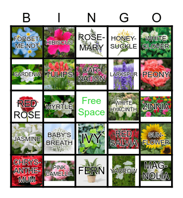 PLANTS OF LOVE Bingo Card