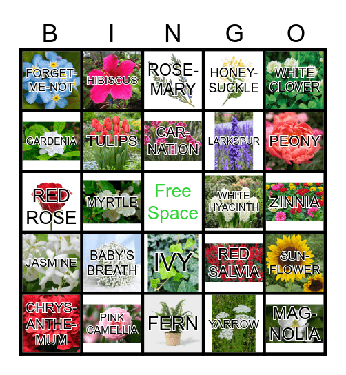PLANTS OF LOVE Bingo Card