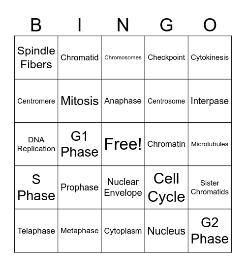 Mitosis Bingo Card