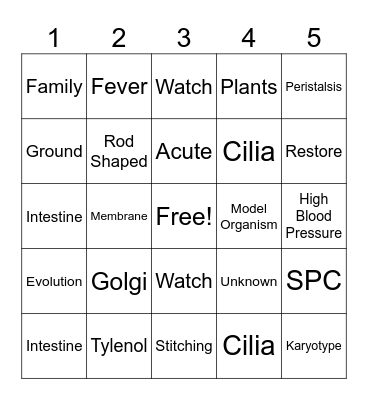 C. Diff Slide Bingo Card
